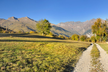 footpath crossing meadow in alpine mountain in autumn