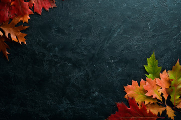 Colorful autumn leaves flat lay. On a black stone background. Top view. Free space for your text.