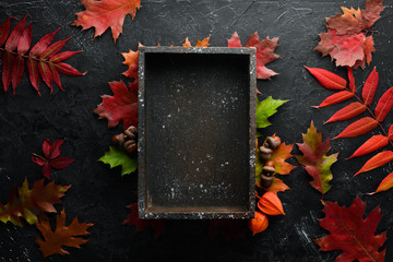 Colorful autumn leaves flat lay. On a black stone background. Top view. Free space for your text.
