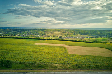 Aerial view of the green and yellow rice field, grew in different pattern at sunset.