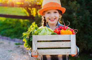 Kids little girl holding a basket of fresh organic vegetables in the background of a home garden at...
