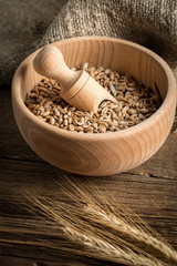Ears of cereals and bowl of grain.
