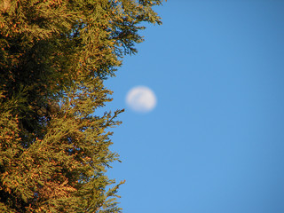 Naklejka premium Mir Amin Palace Hotel Beit ed-Dine in mount Lebanon Middle east