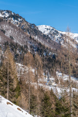 Winter magic. The ancient wooden houses of Sauris di Sopra. Italy