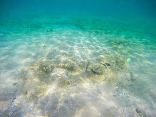 Sandy bottom underwater in a turquoise ocean