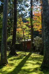 日本の秋の風景、もみじと色づき始めた山々