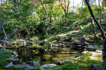 日本の秋の風景、もみじと色づき始めた山々