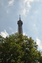 Fototapeta premium Monument of Paris, the Eiffel Tower