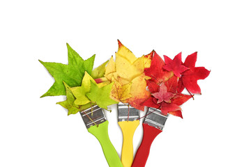 Pinsel mit bunten Laub Blättern