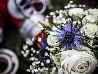 Die Distel im Feuerwehrschlauch zur Hochzeit