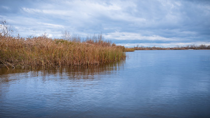 Beautiful autumn landscape - the shore of the bay with thickets of dry reeds near the water