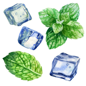 Watercolor illustration, set. An image of mint. Mint leaves. The image of ice. Ice cubes for drinks, cocktails.