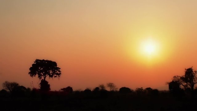 African sunset with silhouette trees