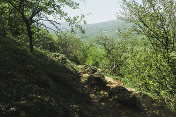 Hiking pathway- journey through roads, mystical nature