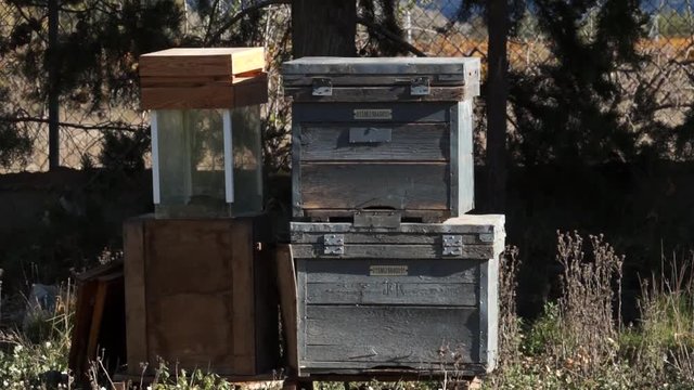 Vintage Bee Hive Images – Browse 16,828 Stock Photos, Vectors, and ...