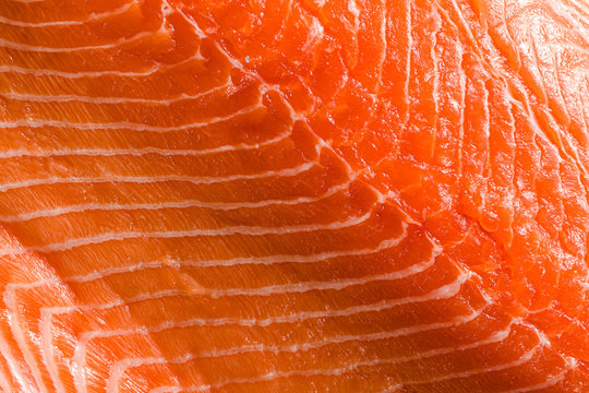 banner of Fresh salmon slice very close up. macro shot. seafood background. pattern