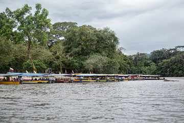 Fototapeta premium Puerto Misahuallí