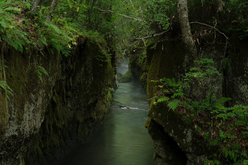 北海道樽前ガロー　緑の渓谷の景色
