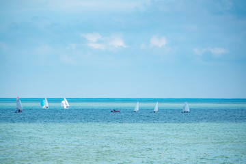 Small sailing yachts sail in the blue sea