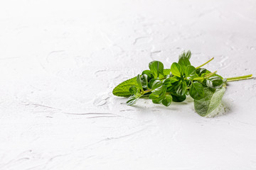 Small bunch of fresh herbs (thyme and sage) on white background. Copy space.