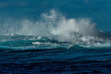 台風のうねり　波