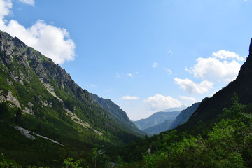 Fototapeta na wymiar Tatra mountains dolina roztoki