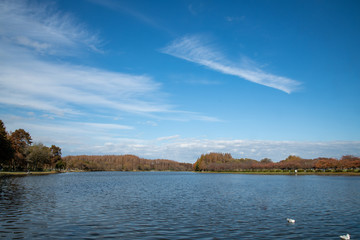 水元公園