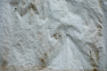 Old paper board with dirty texture for background.