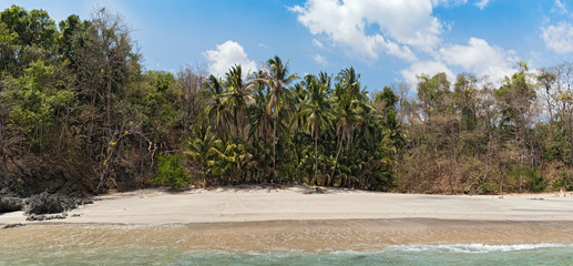 beautiful sandy beach on the island cebaco panama