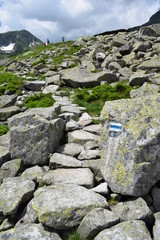 Mountain trailway
