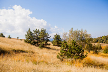Obraz premium countryside autumn landscape