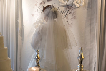 Bride in a white wedding veil. Back view at veil hanging from bride's hair
