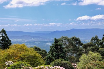 Dandenong Ranges, Australia