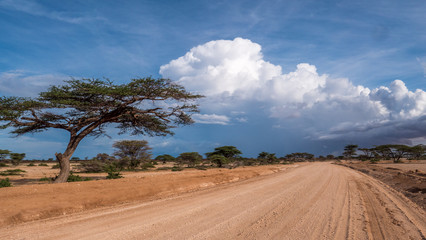 road in the field