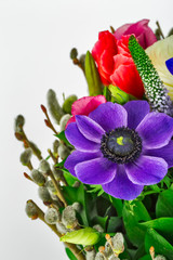Bouquet. Purple anemone