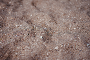 natural background of wet sand, texture