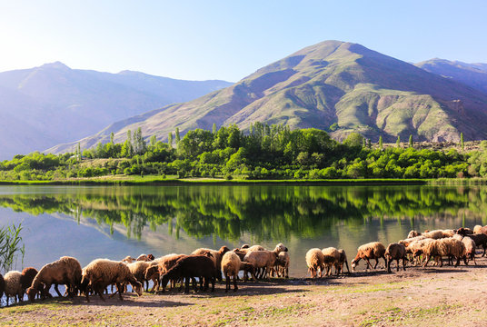 Nature landscape with hills and mountains in Alamut valley,Iran
