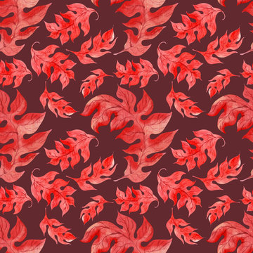 Watercolor background pattern of a Stylized red leaf © Ellivelli