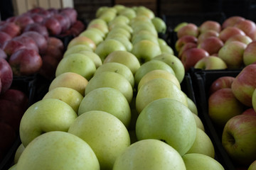 apples in the Dezerter's Bazaar