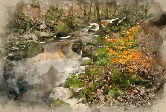 Digital watercolor painting of Autumn Fall forest landscape stream flowing through golden vibrant foliage and rocks
