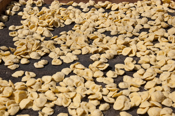 Handmade Orecchiette baresi. Typical fresh pasta from Puglia, Italy.