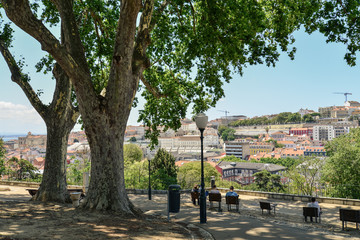 The Torel Garden (Jardim do Torel)