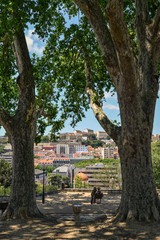 The Torel Garden (Jardim do Torel)
