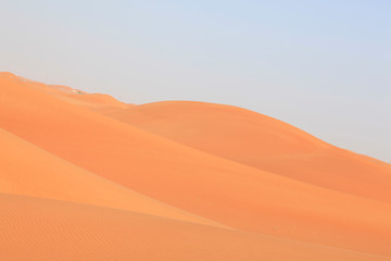 Fototapeta na wymiar beautiful desertscape at united arab emirates