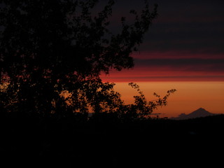 Obraz premium sunset, sky, sun, landscape, nature, clouds, tree, orange, trees, dusk, night, sunrise, evening, silhouette, lake, red, water, beautiful, cloud, dark, twilight, color, horizon