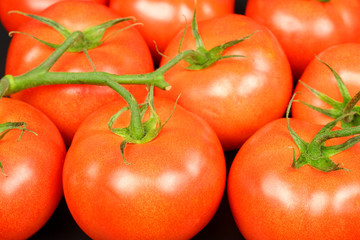 Several fresh juicy red bunch tomatoes on black background