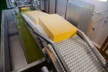 Obraz na płótnie Canvas Industrial production of semi-hard cheeses