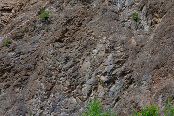 Background with a rough texture of gray color of stone and rock on the mountain with green grass