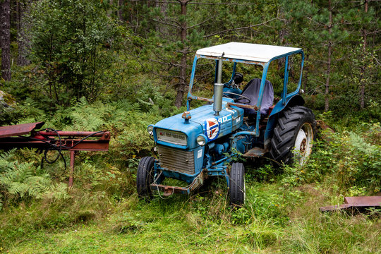 Old abandoned and overgron blue Ford tractor