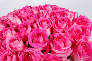 Summer blossoming delicate roses on blooming flowers festive background, pastel and soft bouquet floral card. Nature background